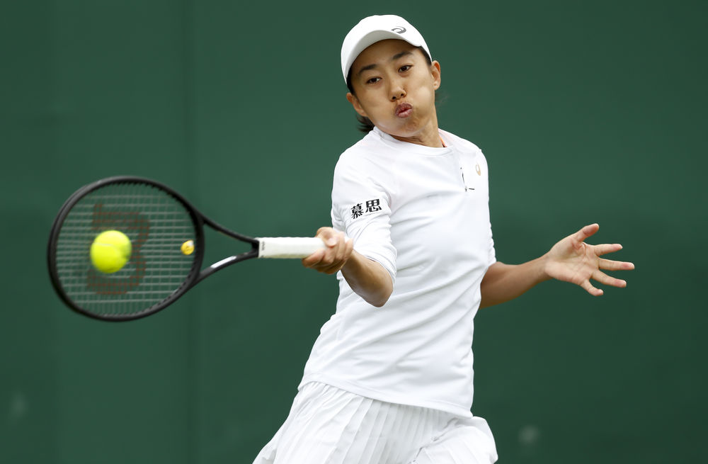 雄厚的阵容 雄厚的阵容