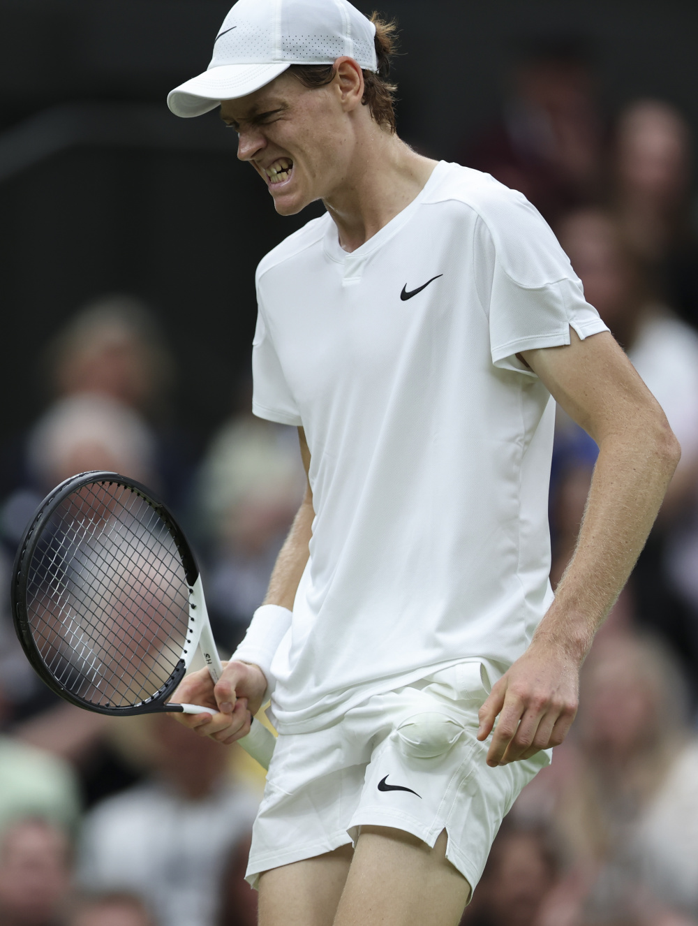 而近年来 而近年来